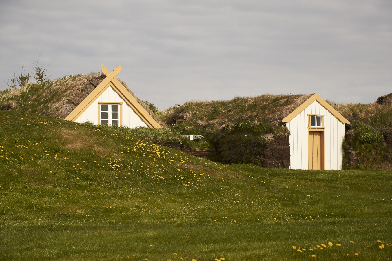 Maisons islandaise